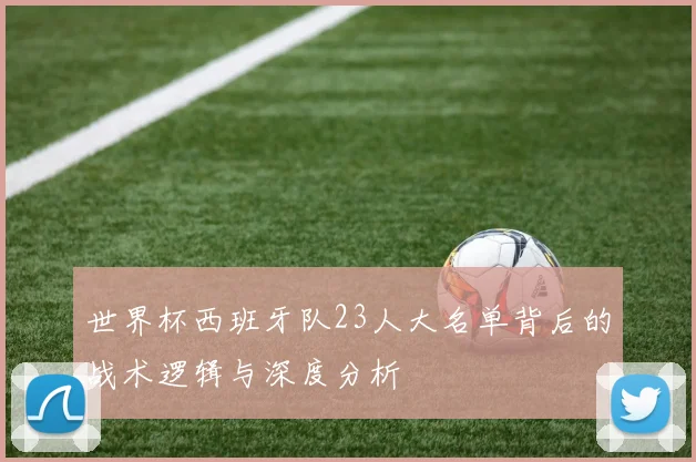 世界杯西班牙队23人大名单背后的战术逻辑与深度分析