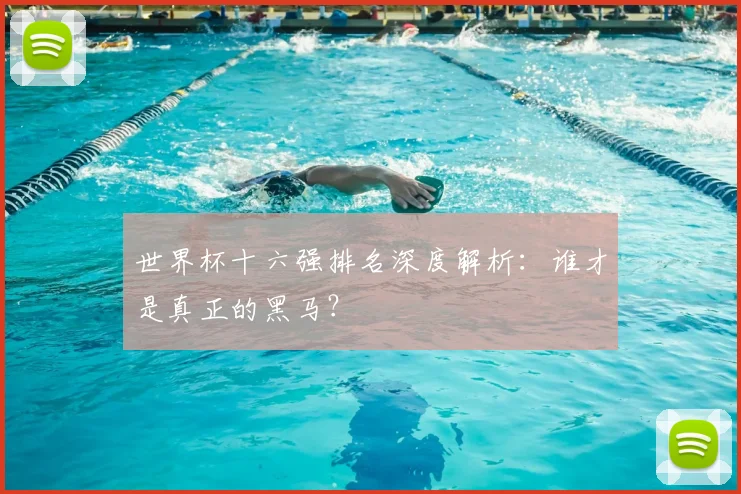 世界杯十六强排名深度解析：谁才是真正的黑马？