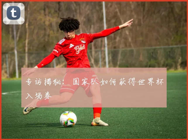 专访揭秘:国家队如何获得世界杯入场券