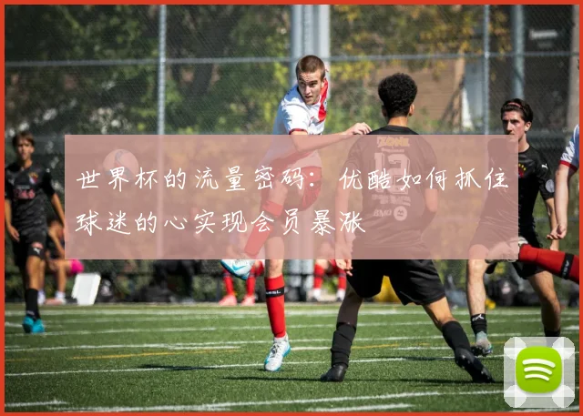 世界杯的流量密码：优酷如何抓住球迷的心实现会员暴涨