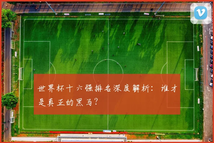 世界杯十六强排名深度解析：谁才是真正的黑马？
