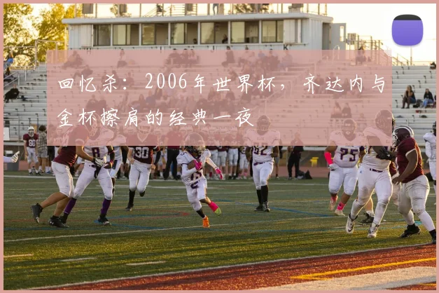 回忆杀：2006年世界杯，齐达内与金杯擦肩的经典一夜
